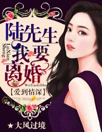 爱到情深,陆先生我要离婚!