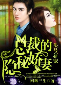 头号新宠,总裁的隐秘娇妻!