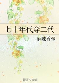 七十年代穿二代