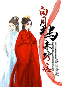 白月光与朱砂痣(穿越)