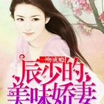 一吻成瘾:辰少的美味娇妻