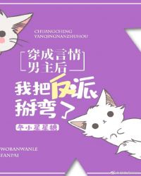 穿成言情男主后我把反派掰弯了