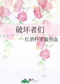 破坏者们