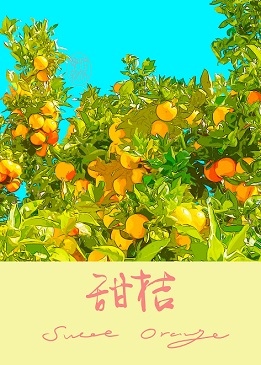 甜桔
