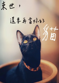 来世,还要再当你的猫