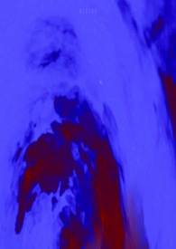 不起眼的Beta(nph、ABO)