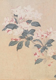 撷春色(强取豪夺高h)