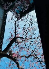 公主只想睡遍后宫(男生子NPH