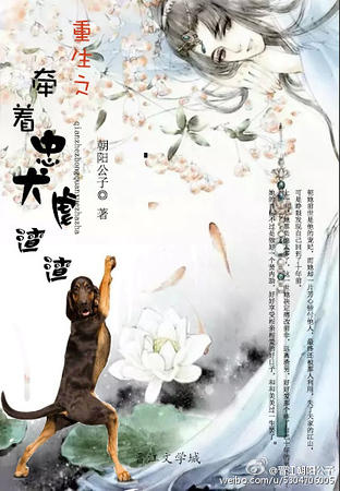 ����֮ǣ����ȮŰ����