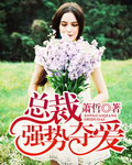总裁强势夺爱