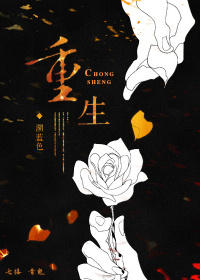 重生之脑残粉归来