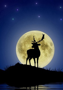 ����֮����֮��