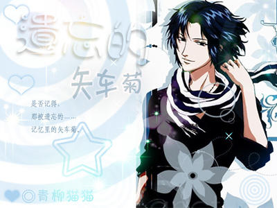 (网王同人)遗忘的矢车菊