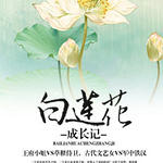 白莲花成长记