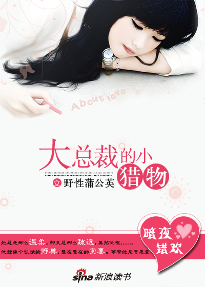 大总裁的小猎物:暗夜强欢