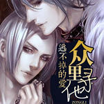 �Ӳ����İ���������Ѱ��