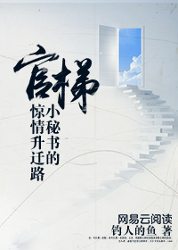 官梯:小秘书的惊情升迁路