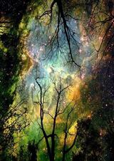 ����������֮�Ʒ�����