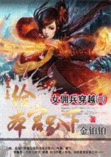 女佣兵穿越2:笑看风云起(一笑取江山)