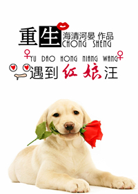 重生遇到红娘汪